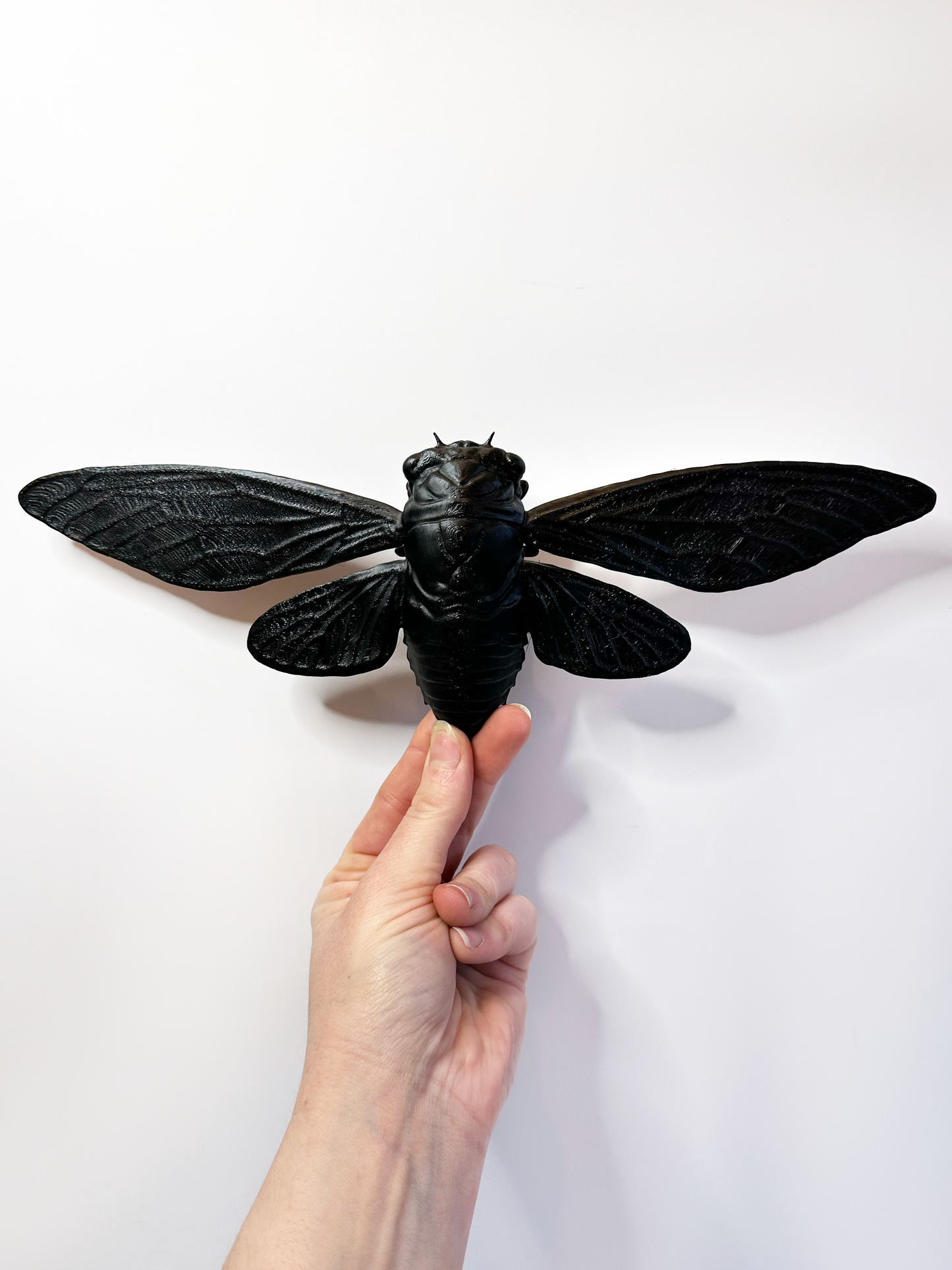 Cicada With Stand