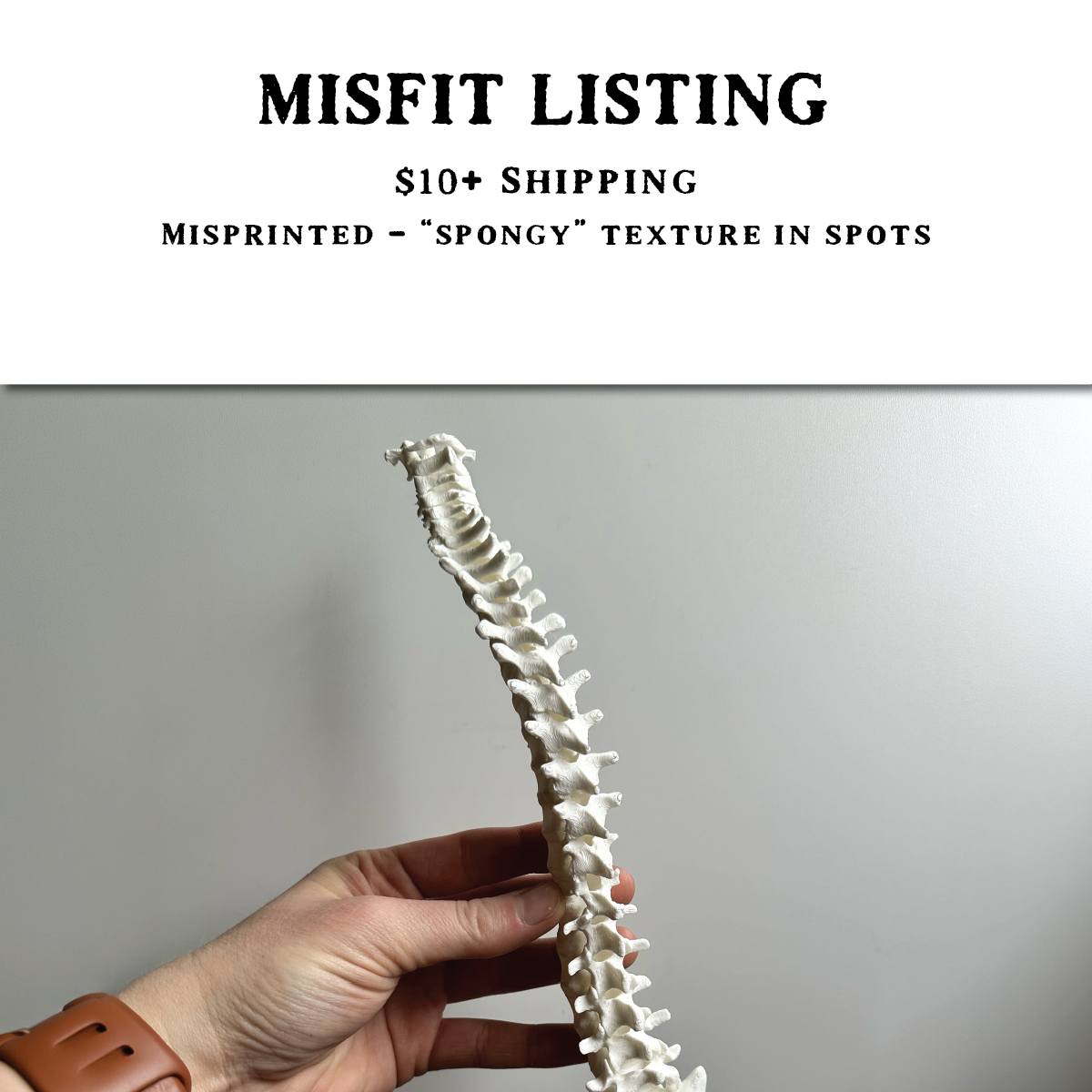 MISFIT LISTING - Spine Trellis