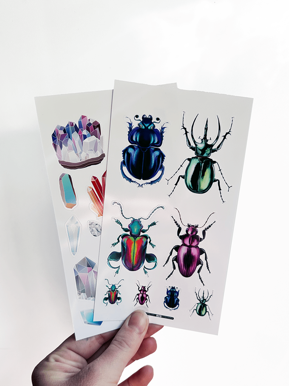 Beetles 4"x7" Sticker Sheet - Faux Theory Design