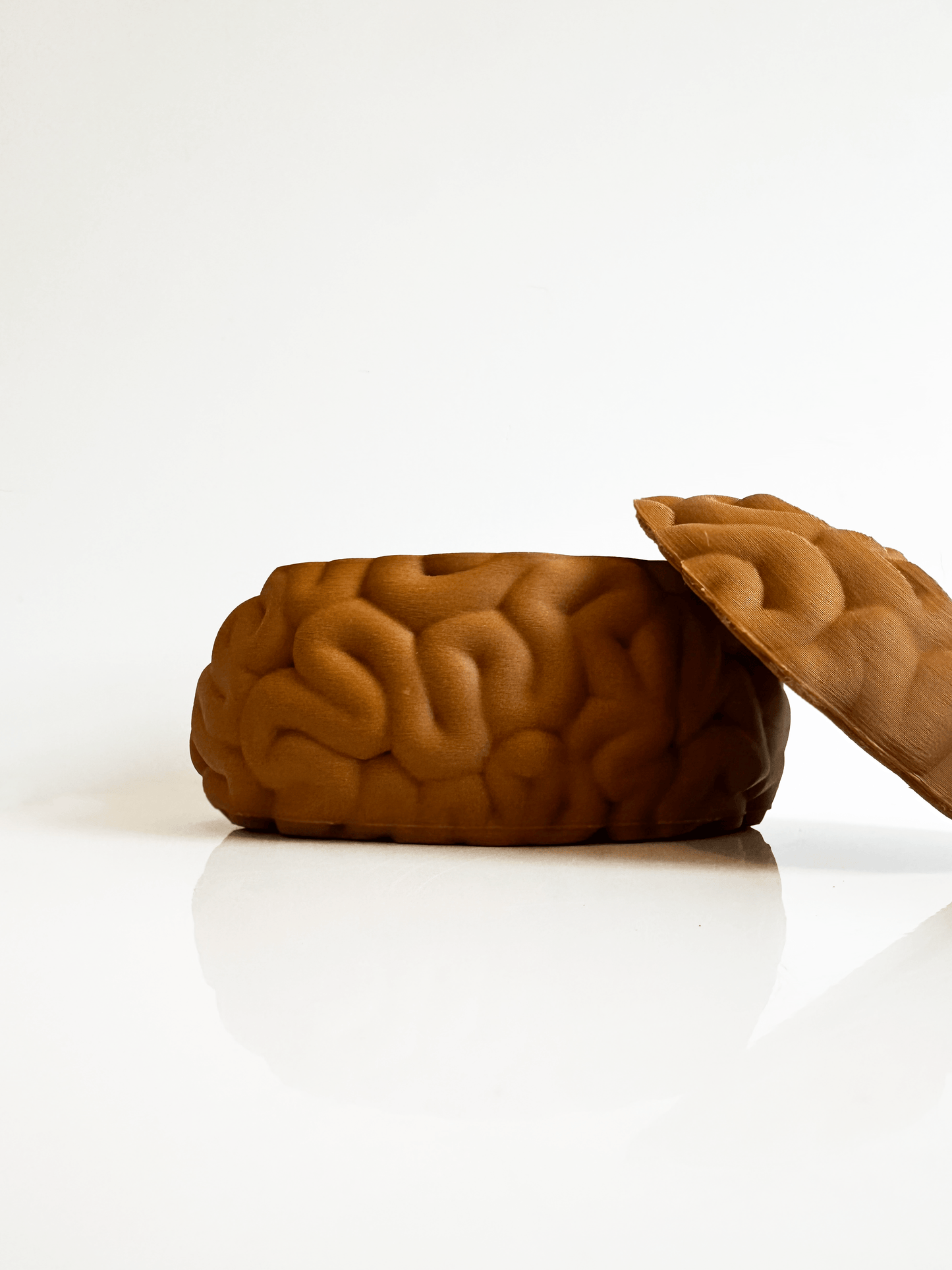 Brain Keepsake Box - Faux Theory Design