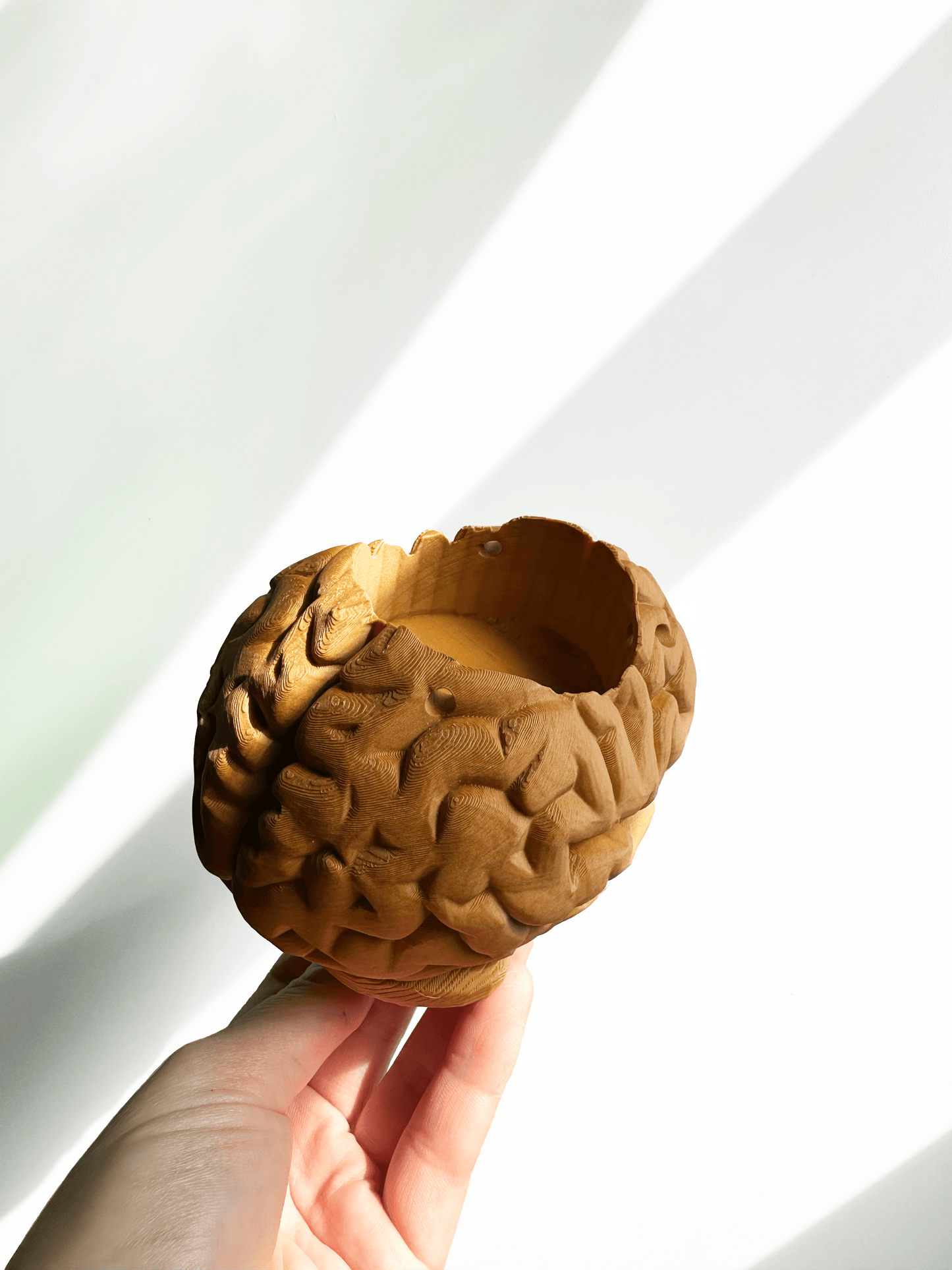 Hanging Brain Planter - Faux Theory Design