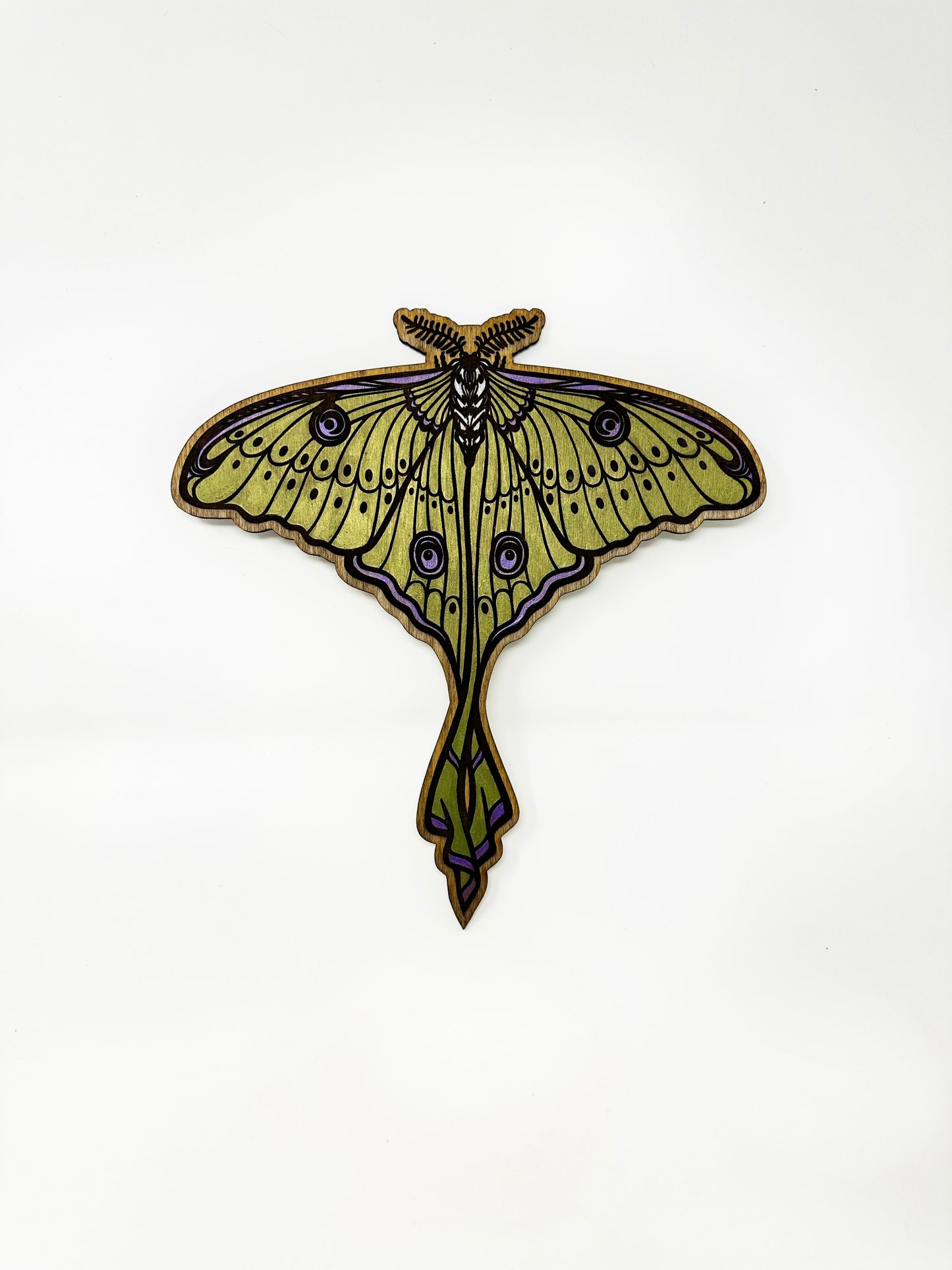 Luna Moth Wall Art - Faux Theory Design