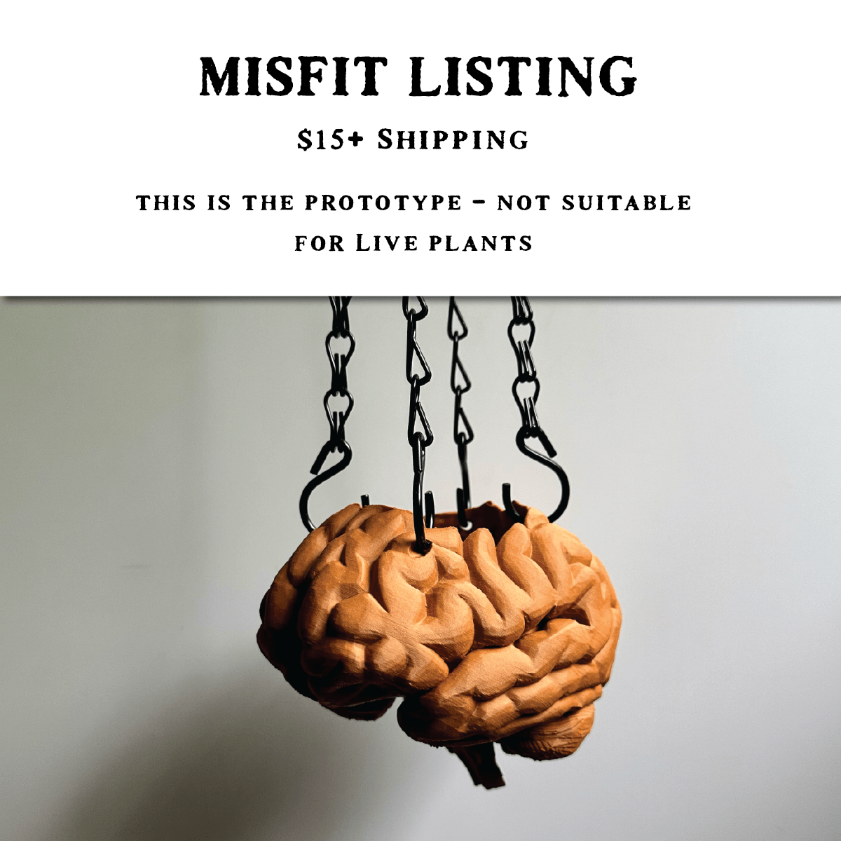 MISFIT LISTING - Brain Planter (4"x5") - Faux Theory Design