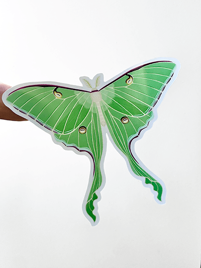 Night Moths 4"x7" Sticker Sheet - Faux Theory Design