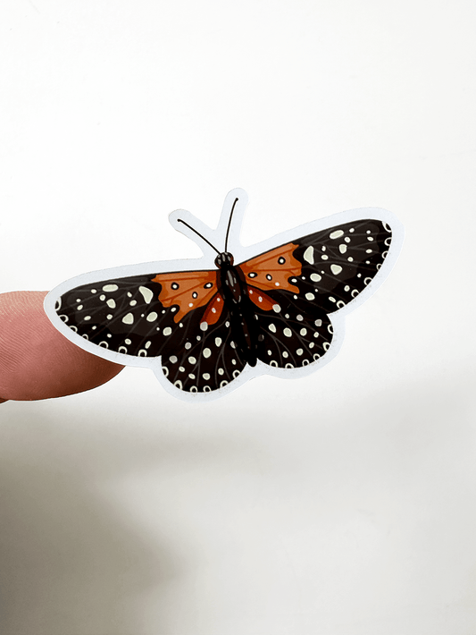 Orange Butterflies 4"x7" Sticker Sheet - Faux Theory Design