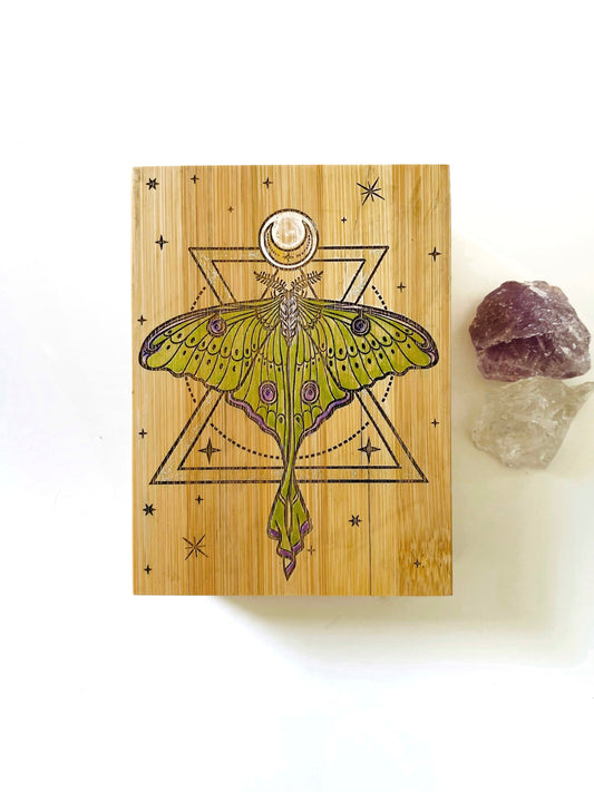 Luna Moth Small Storage Box - Faux Theory Design