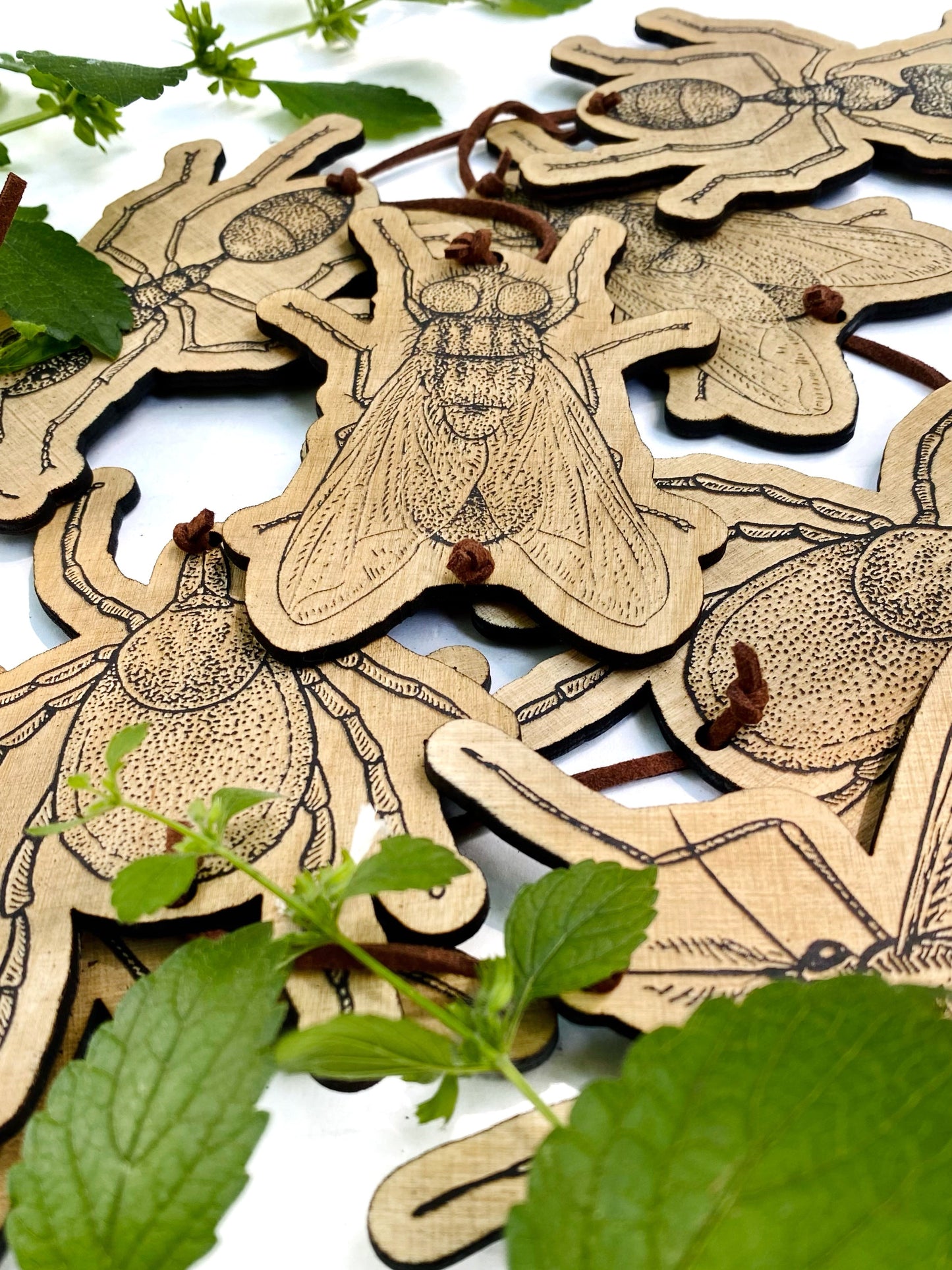 Summer Insect Garland | Ant, Fly, Tick, Mosquito Garland - Faux Theory Design