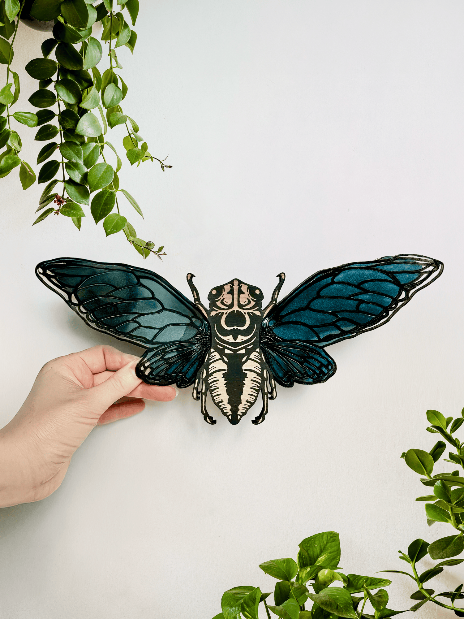 New Designs & Oddities - Faux Theory Design