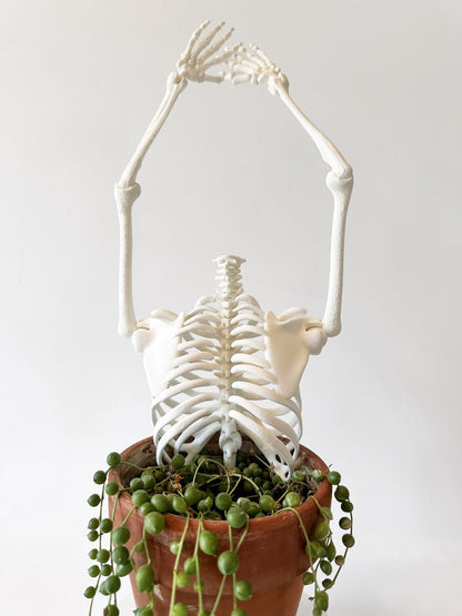 3D Ribcage Moveable Plant Trellis | Gothic Support for Climbing Plants - Faux Theory Design