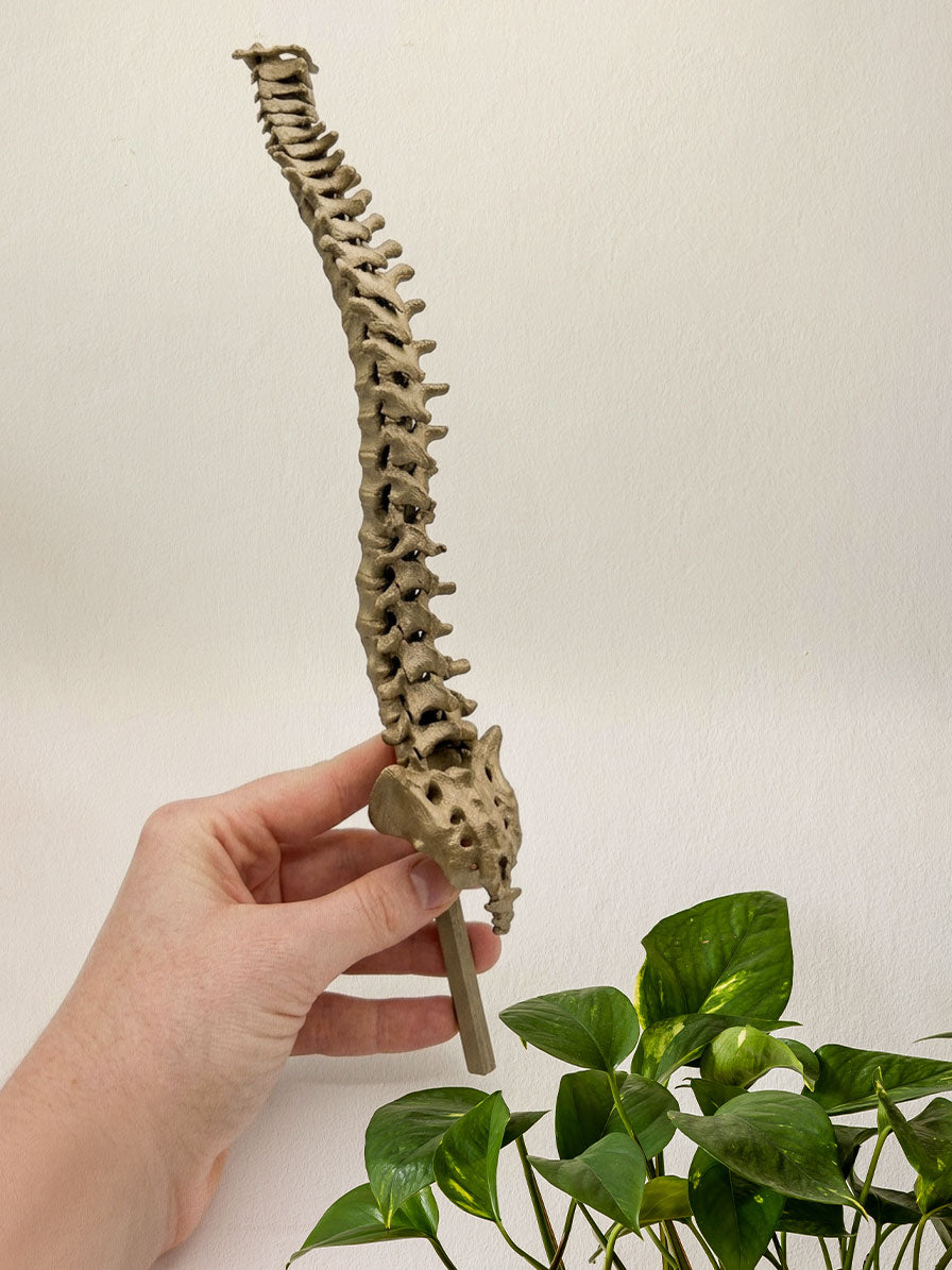 Spine Plant Trellis: 3D Printed Gothic Support for Climbing Plants