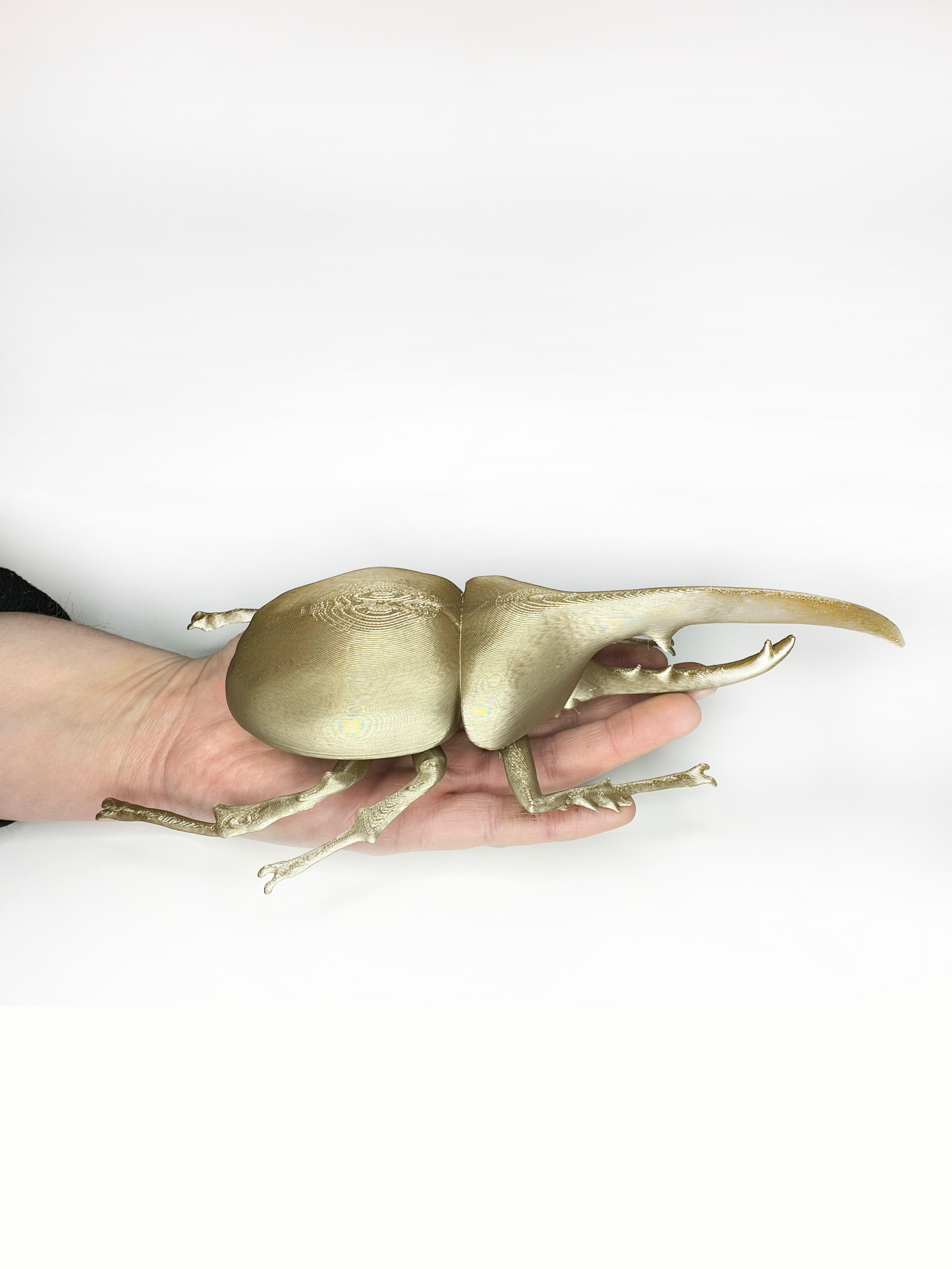 Giant Beetles