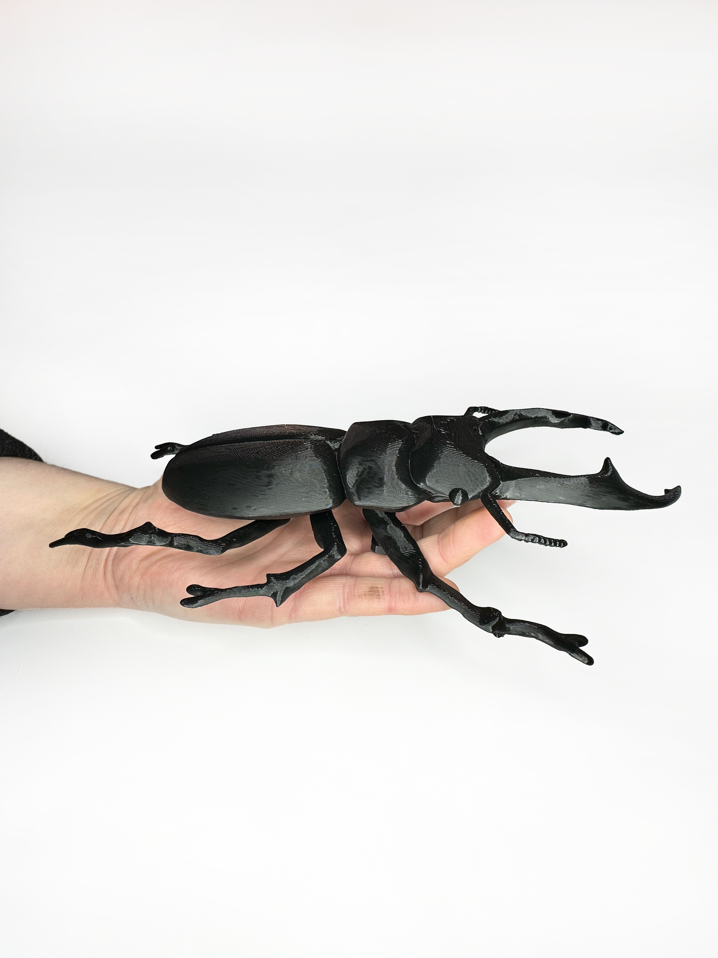 Giant Beetles
