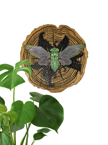 Cicada Wood Slice