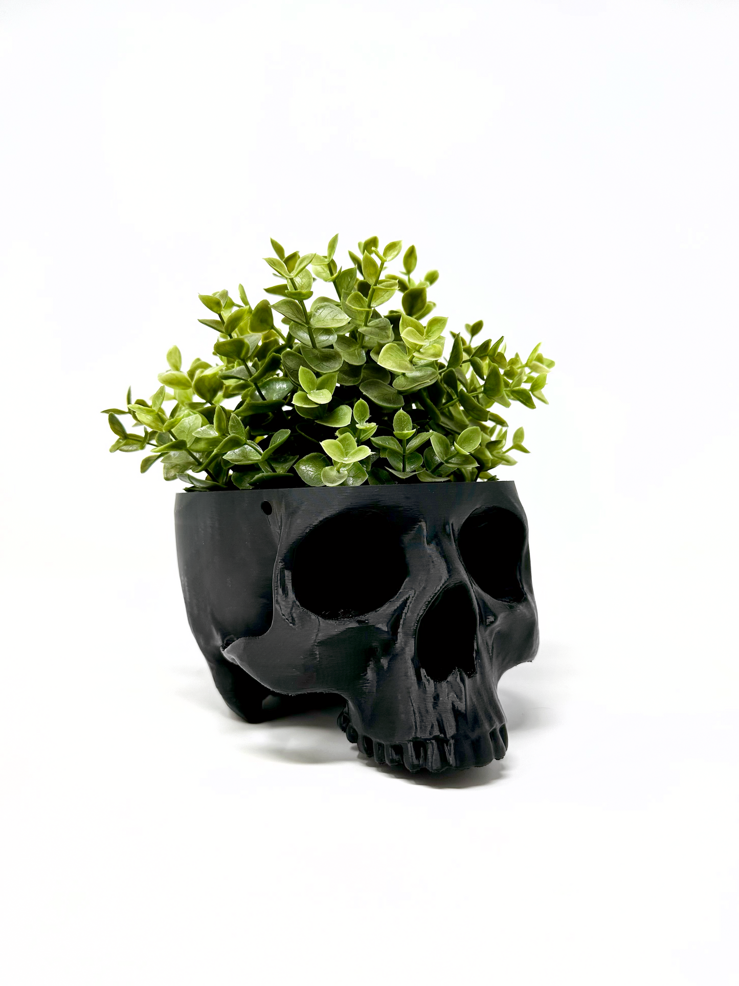 Hanging Skull Planter