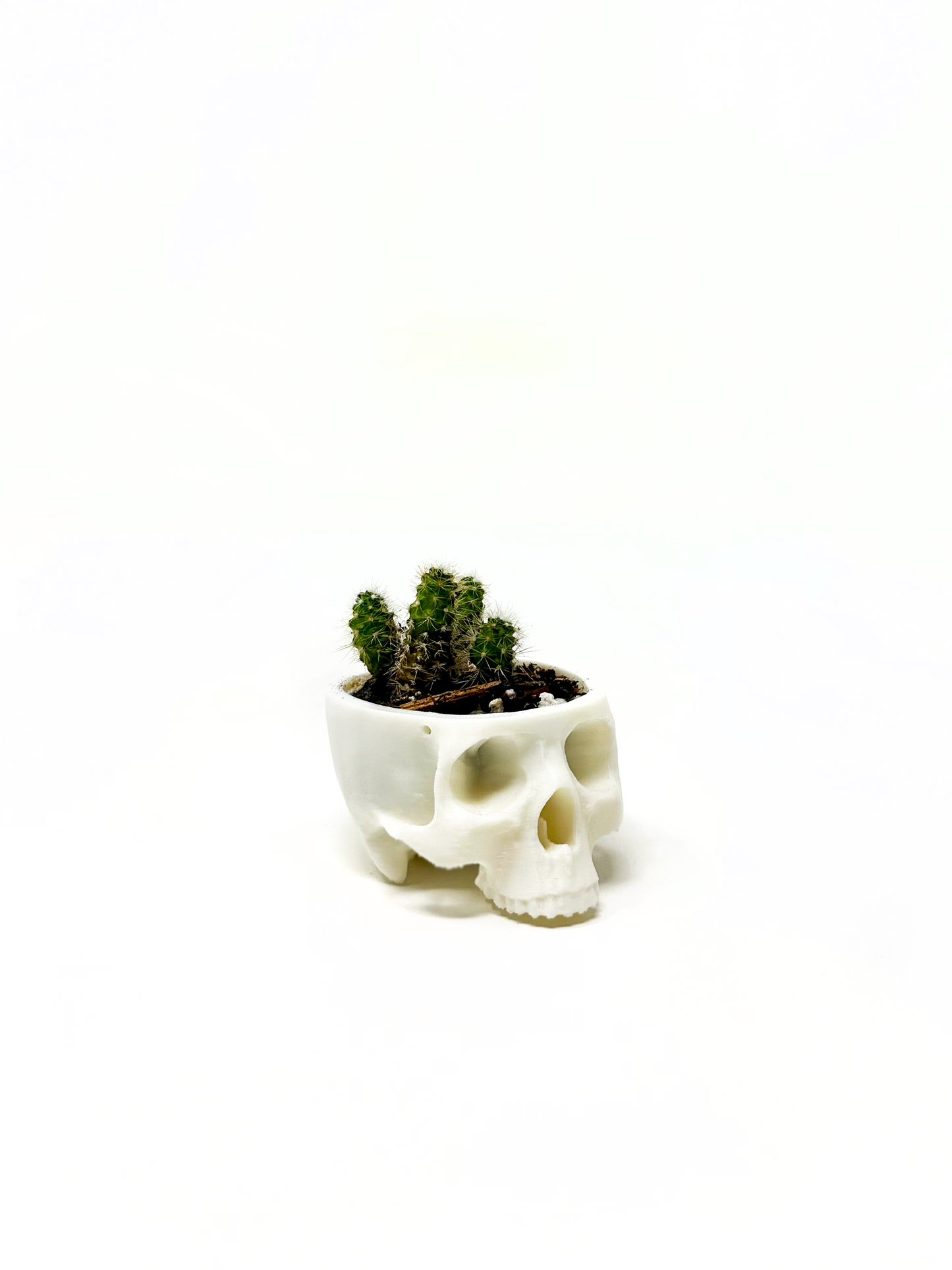 Hanging Skull Planter