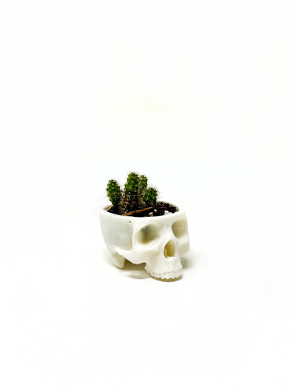 Hanging Skull Planter