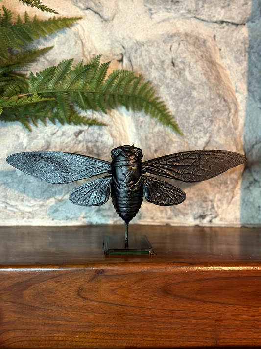 Cicada With Stand