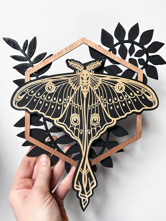 Luna Moth with Ferns