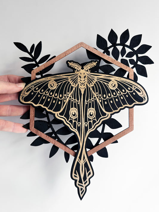 Luna Moth with Ferns