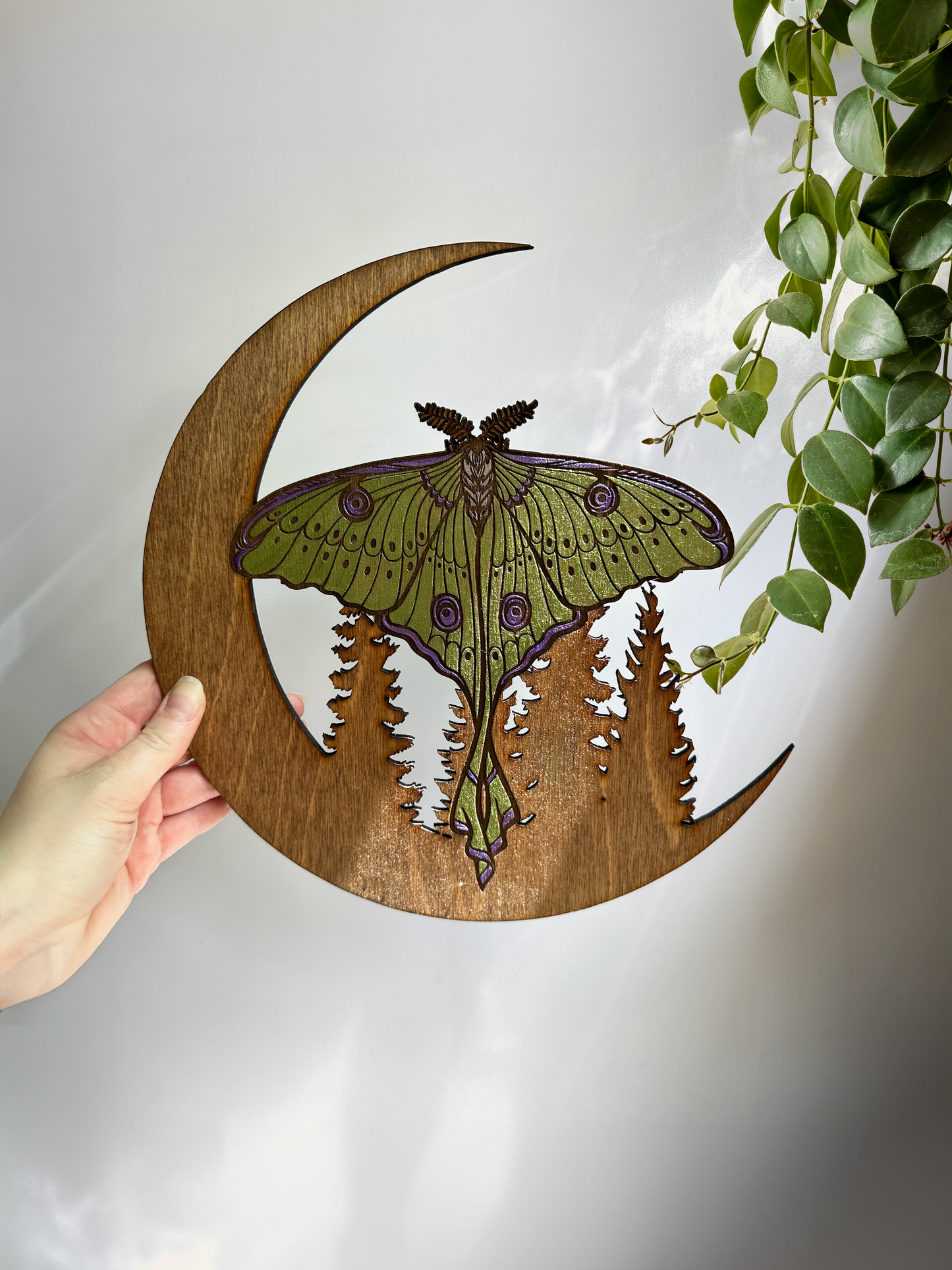 Luna Moth Wall Hanging