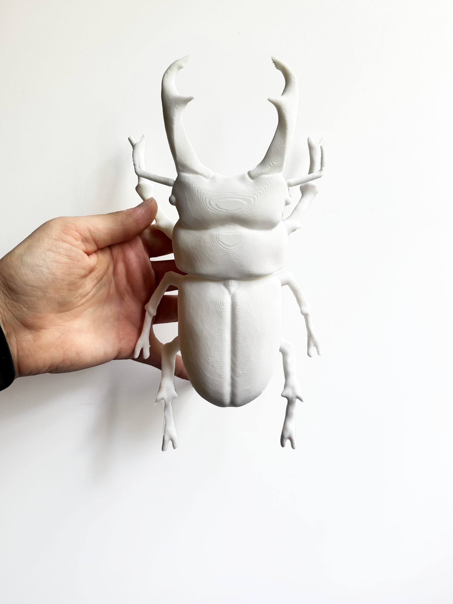 Giant Beetles