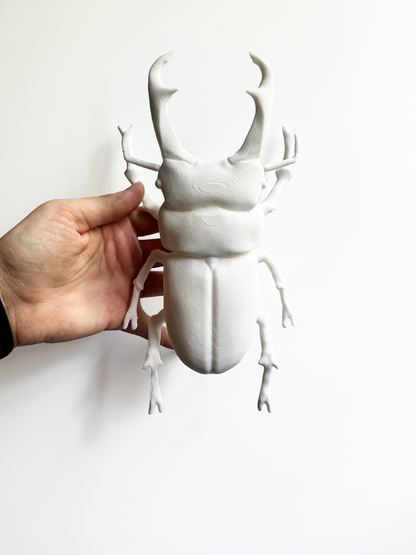 Giant Beetles