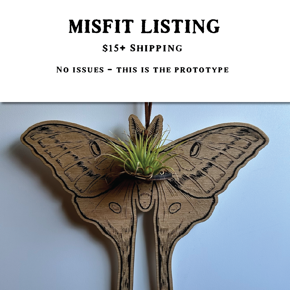 MISFIT LISTING - Luna Moth Air Plant Hanger