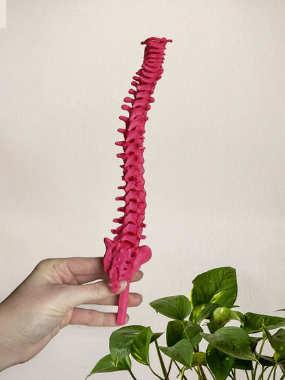 Spine Plant Trellis: 3D Printed Gothic Support for Climbing Plants