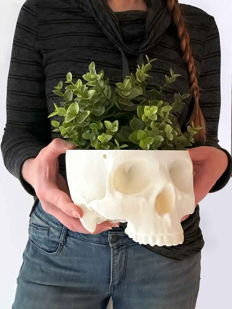 White skull planter help by a person