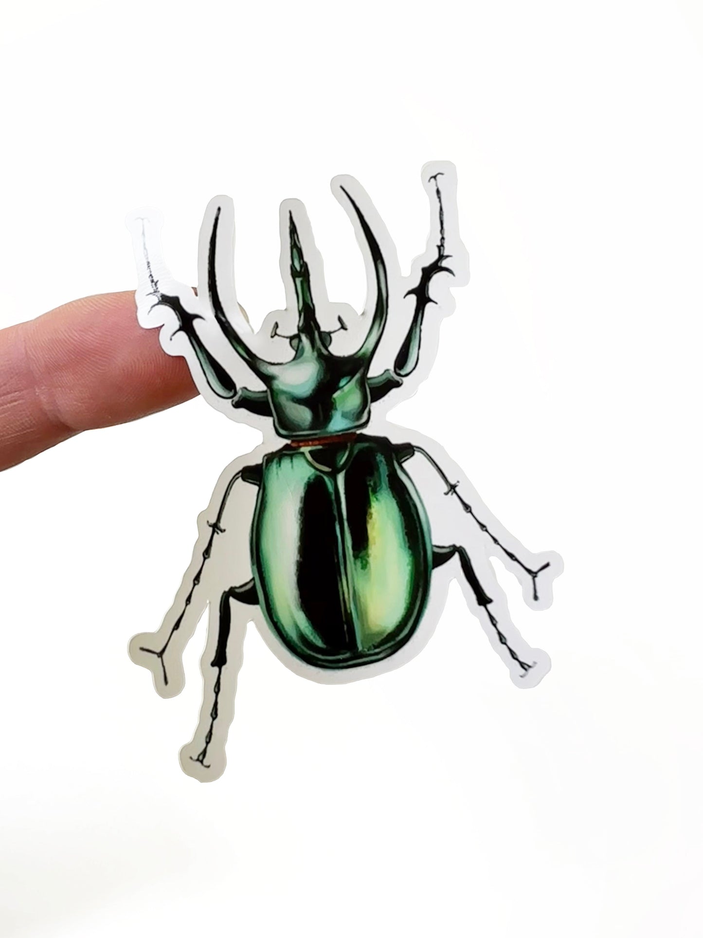 Beetles 4"x7" Sticker Sheet - Faux Theory Design