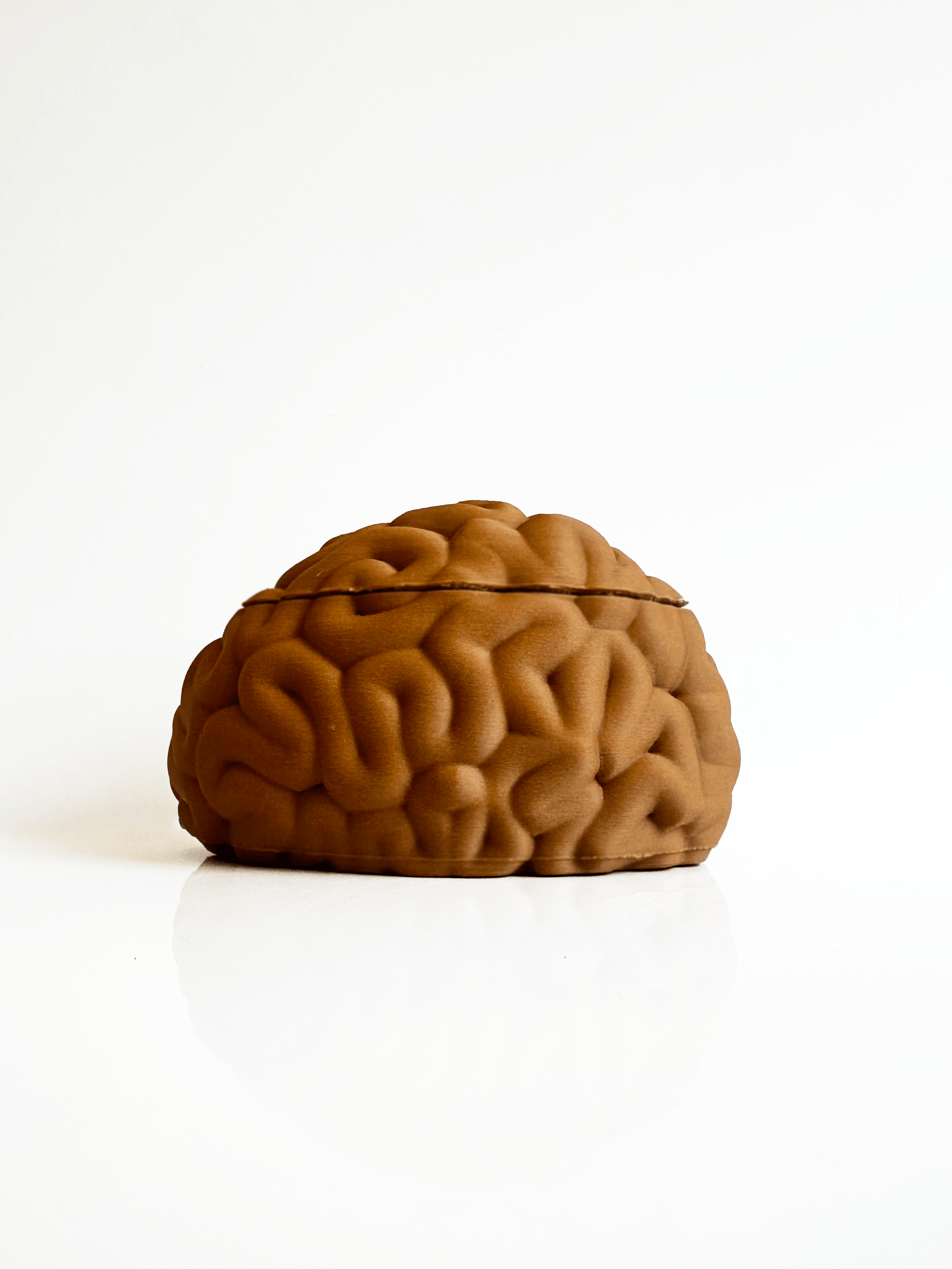 Brain Keepsake Box - Faux Theory Design