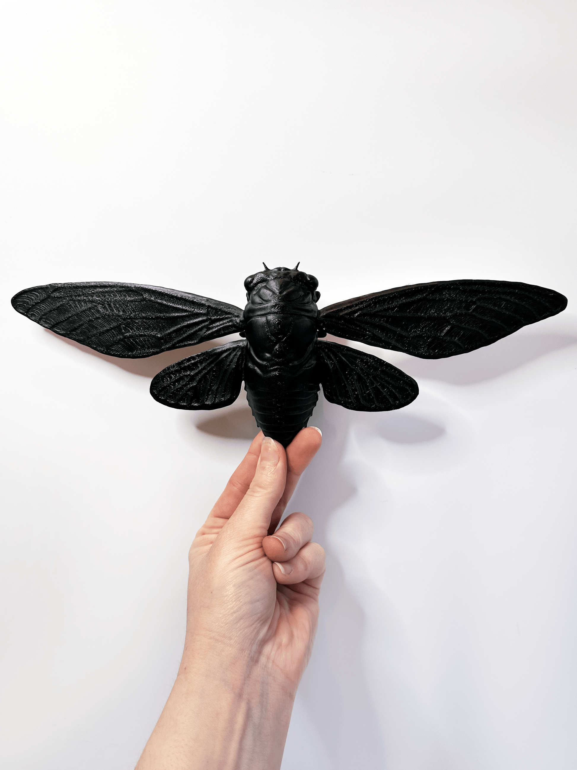 Cicada With Stand - Faux Theory Design