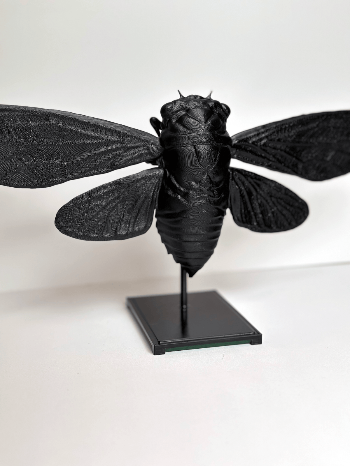 Insect Stand Large Cicada Specimen Display: 3D Printed Insect Decor – Faux Theory Design