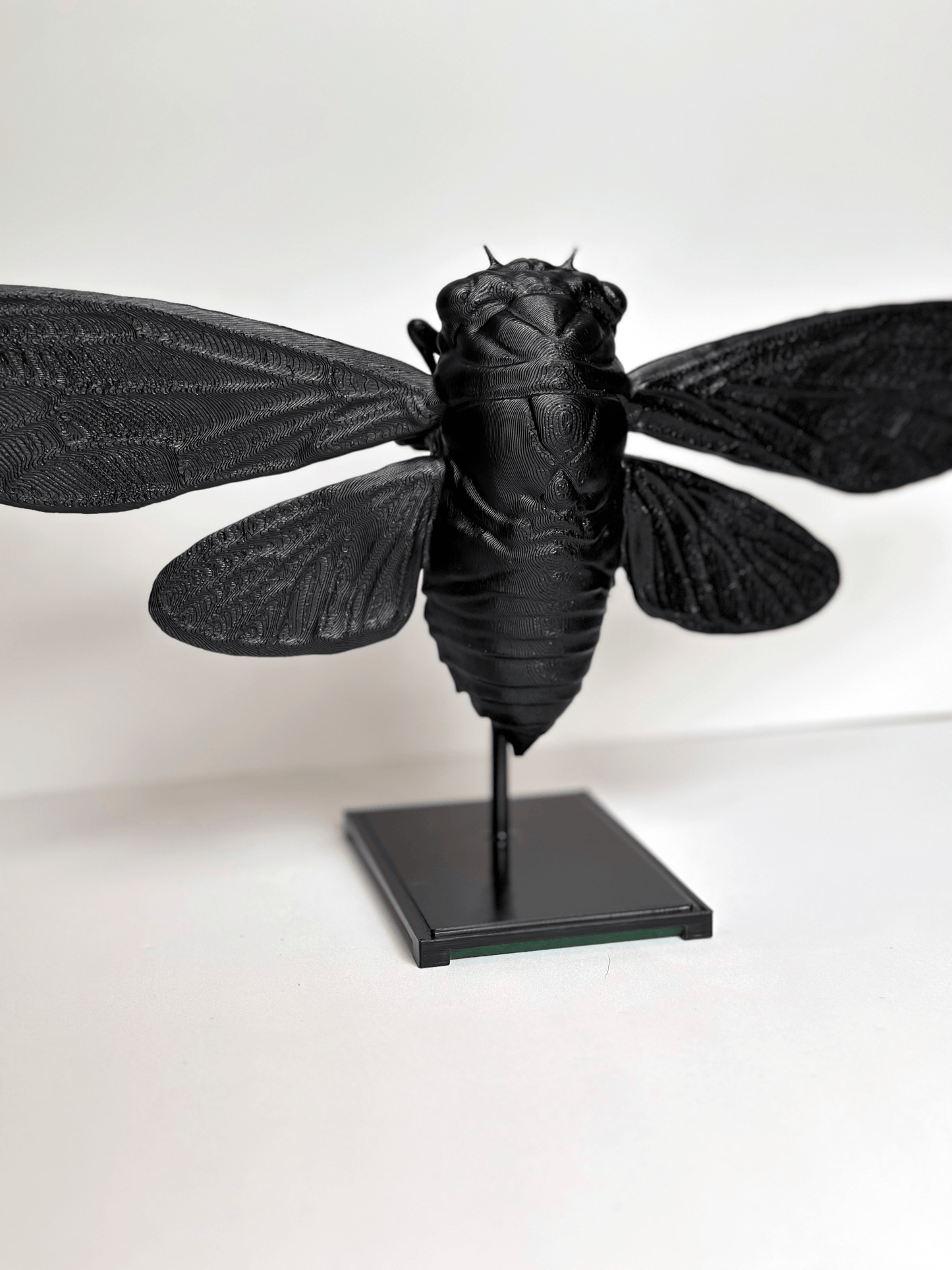 Cicada With Stand - Faux Theory Design