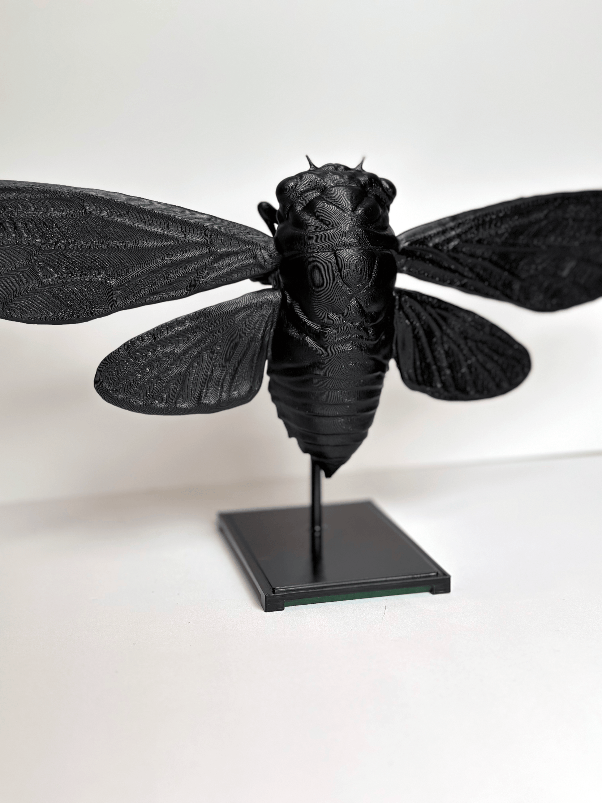 Cicada With Stand - Faux Theory Design
