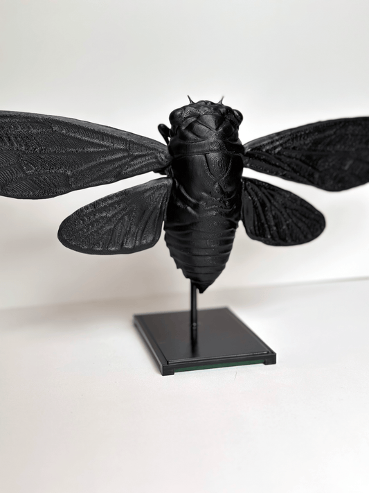 Cicada With Stand - Faux Theory Design