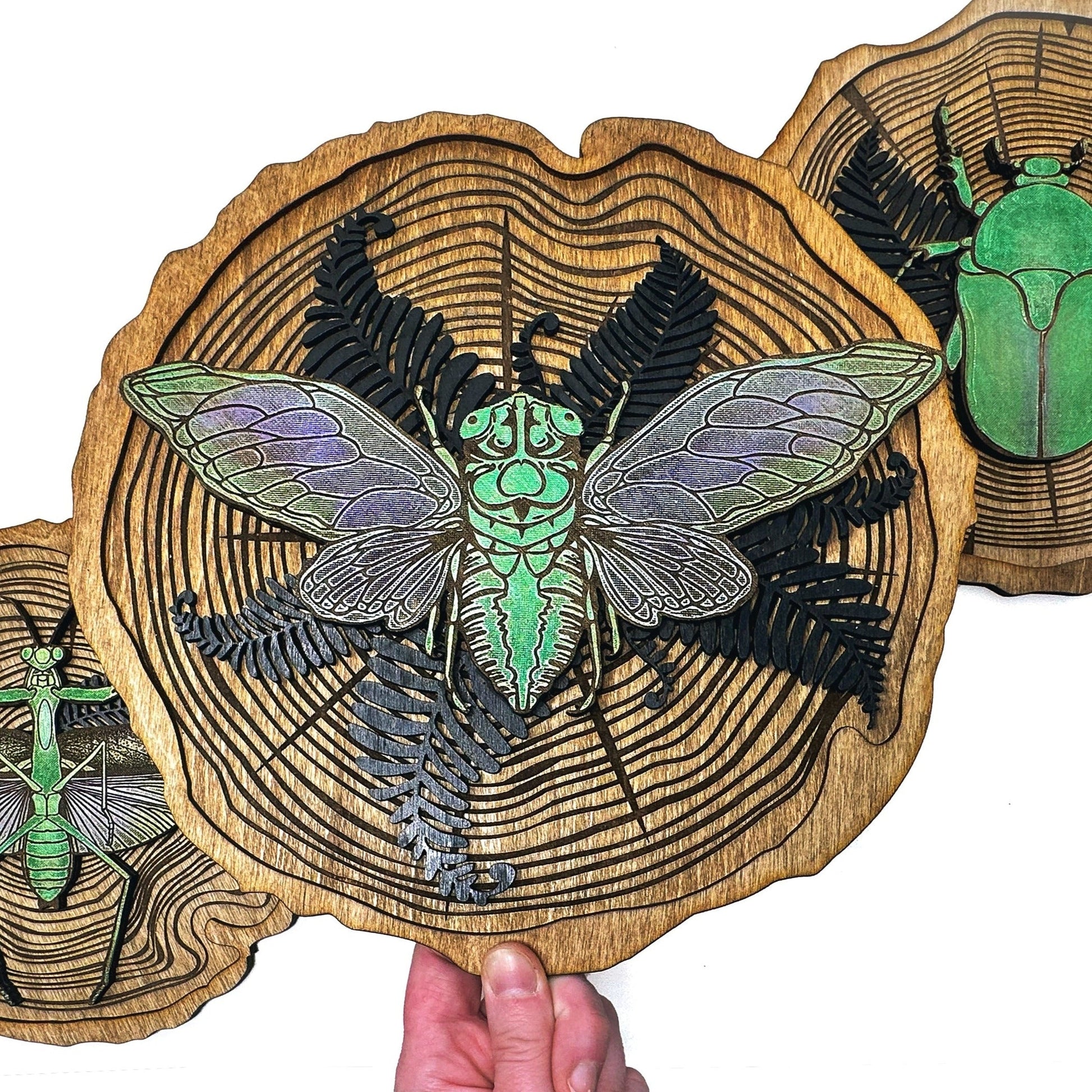 Cicada Wood Slice - Faux Theory Design