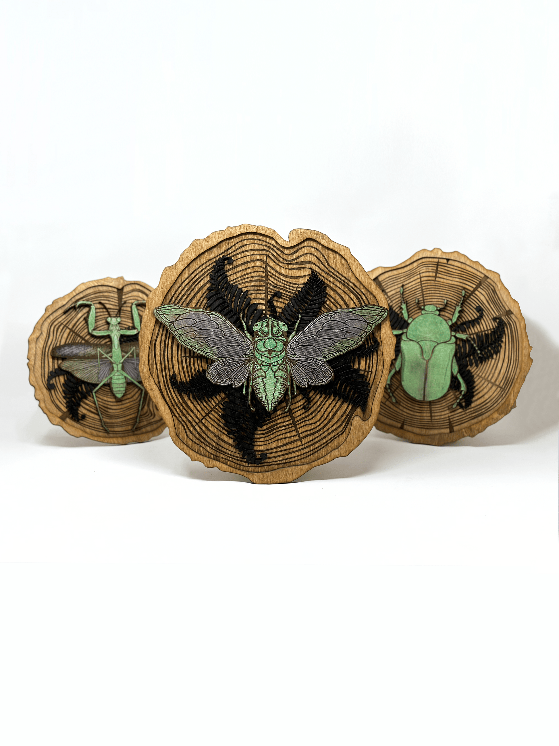 Cicada Wood Slice - Faux Theory Design