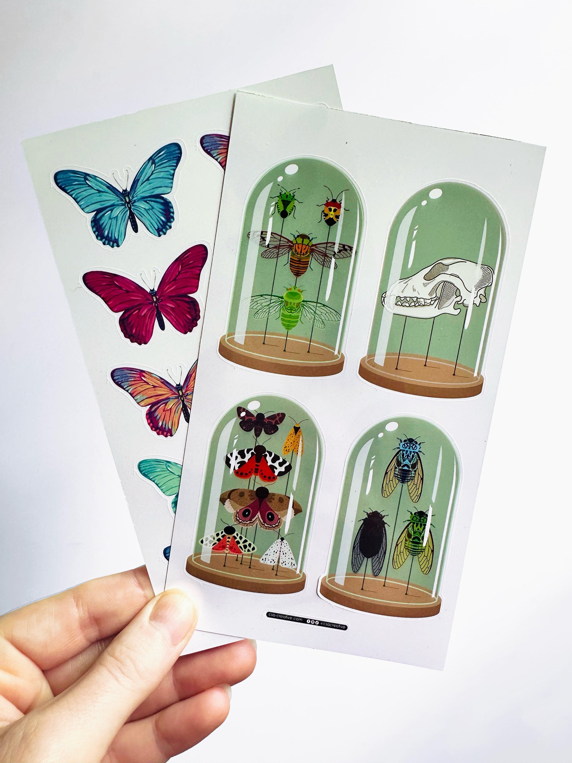 Curiosity Domes 4"x7" Sticker Sheet - Faux Theory Design