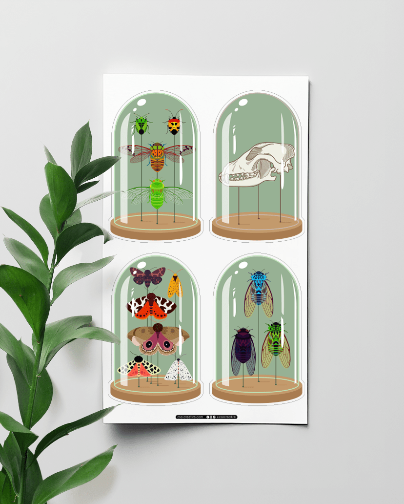 Curiosity Domes 4"x7" Sticker Sheet - Faux Theory Design