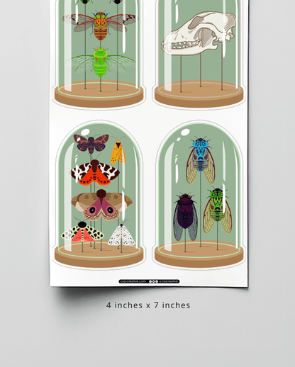 Curiosity Domes 4"x7" Sticker Sheet - Faux Theory Design