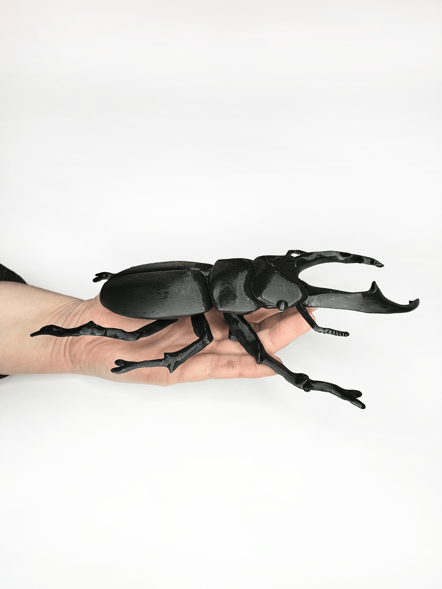 Giant Beetles - Faux Theory Design