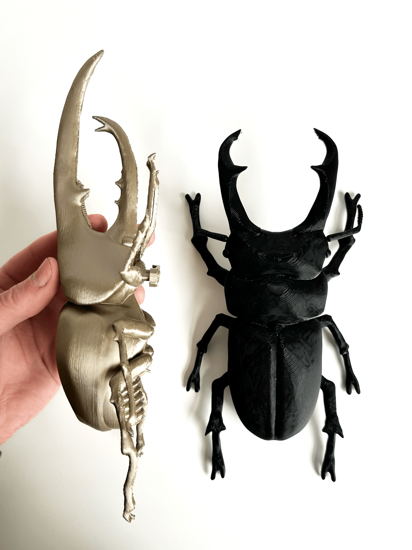 Giant Beetles - Faux Theory Design