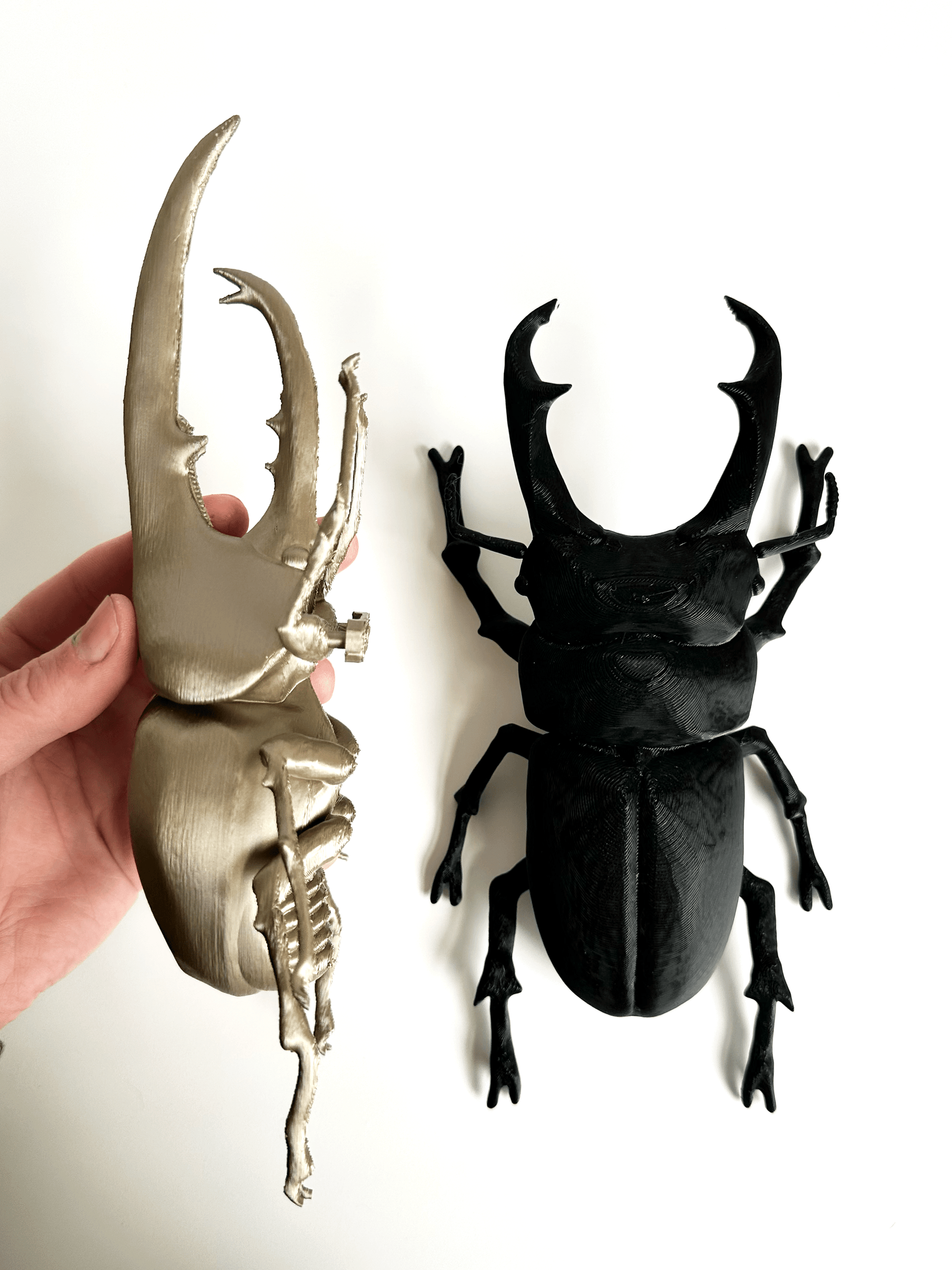 Giant Beetles - Faux Theory Design