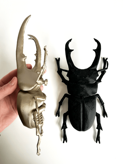 Giant Beetles - Faux Theory Design