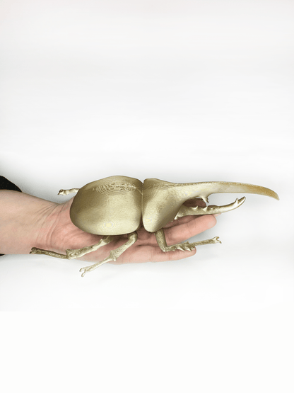 Giant Beetles - Faux Theory Design