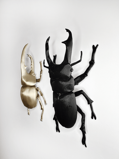 Giant Beetles - Faux Theory Design