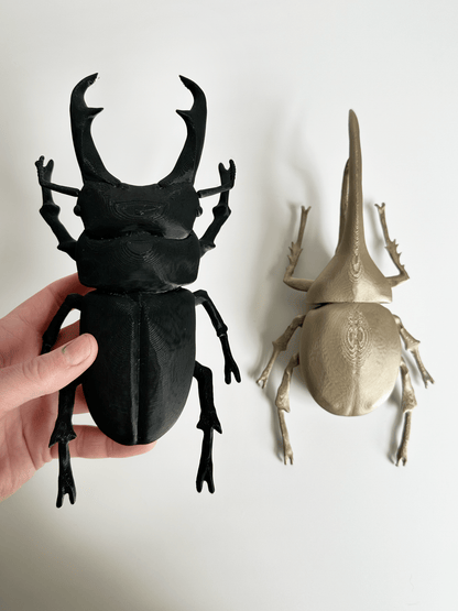 Giant Beetles - Faux Theory Design