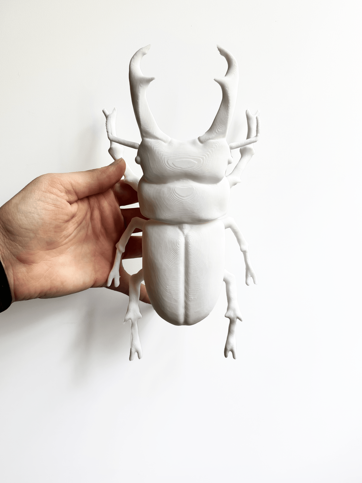 Giant Beetles - Faux Theory Design