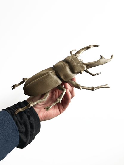 Giant Beetles - Faux Theory Design